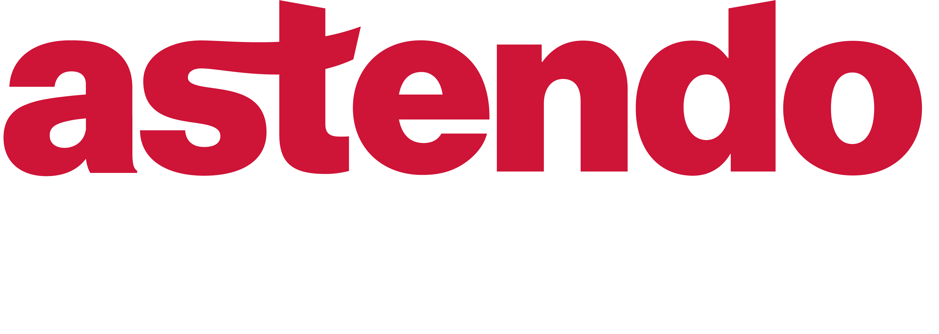 astendo solutions GmbH astendo solutions GmbH